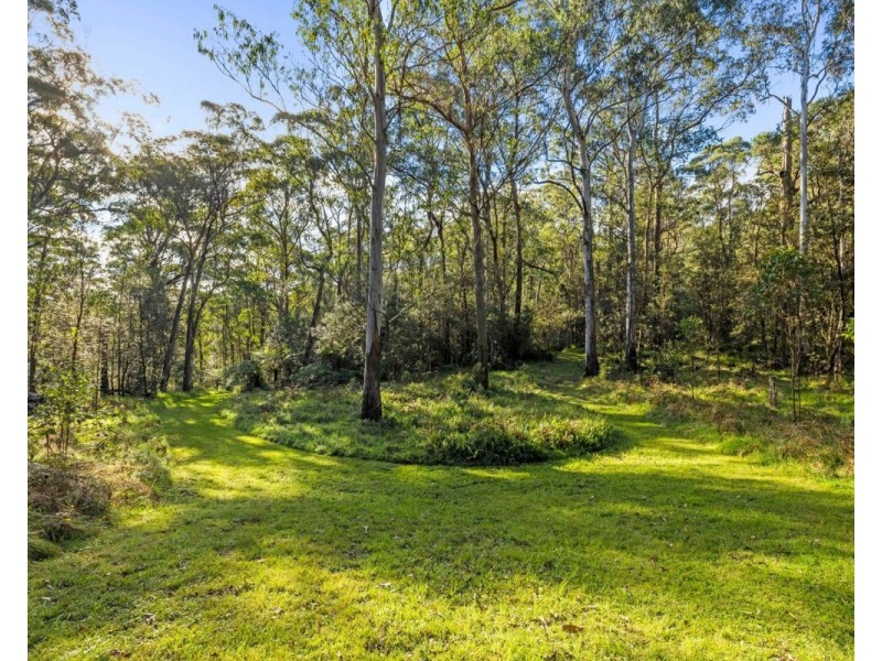 6410 Waterfall Way, Deer Vale, Dorrigo NSW 2453