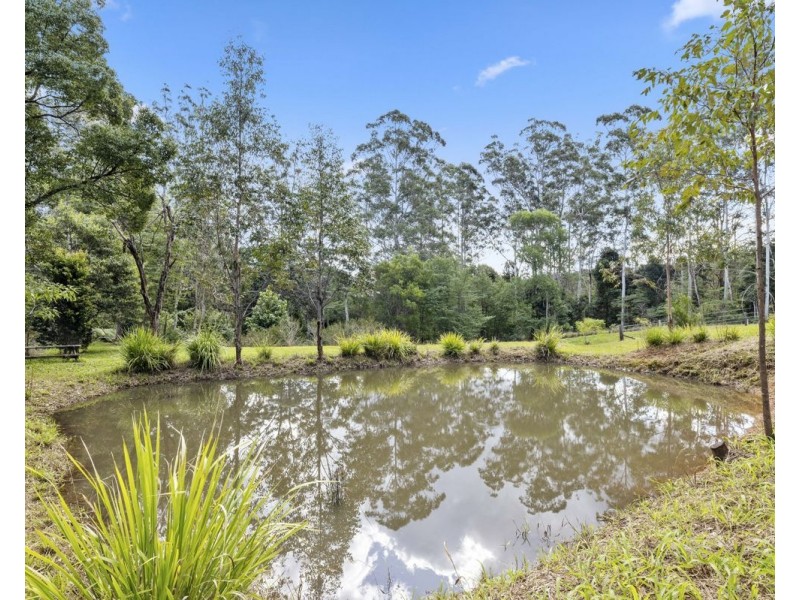203 Allgomera Road, Allgomera NSW 2441