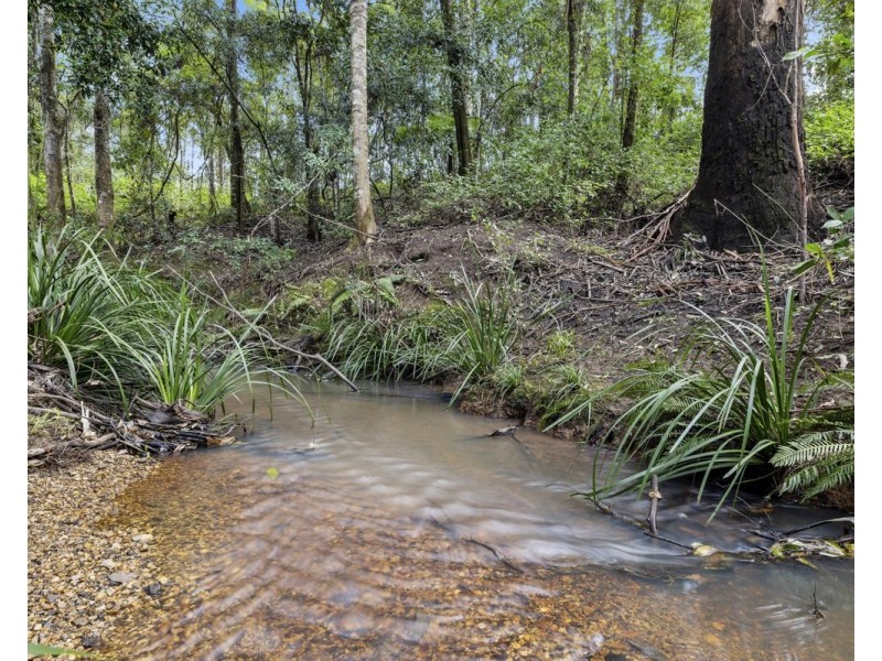 203 Allgomera Road, Allgomera NSW 2441