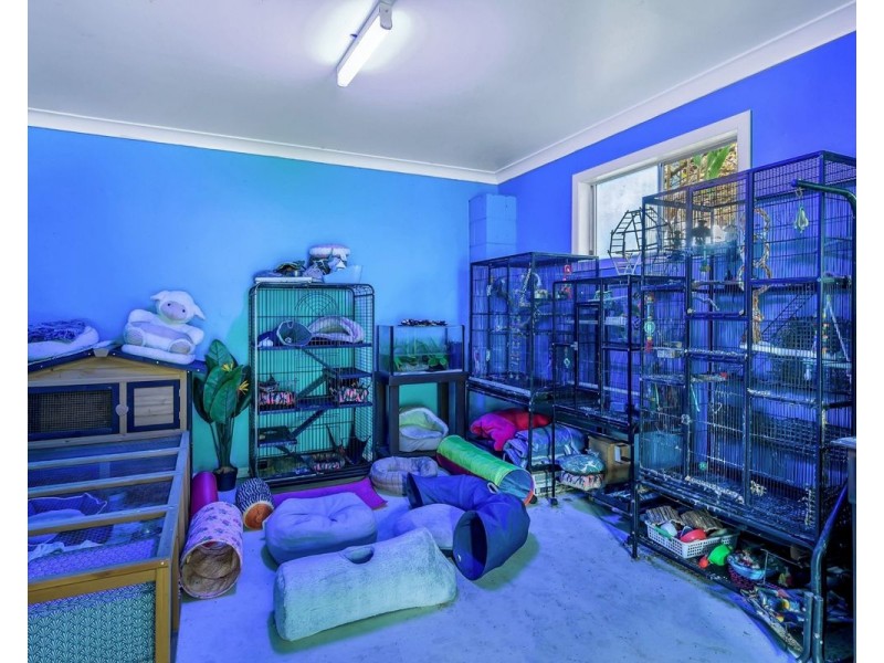 51 Blue Gum Avenue, Sandy Beach NSW 2456