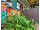 25 Grafton Street, Lowanna NSW 2450
