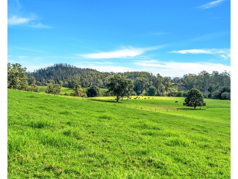 95 Wards Lane, Utungun NSW 2447
