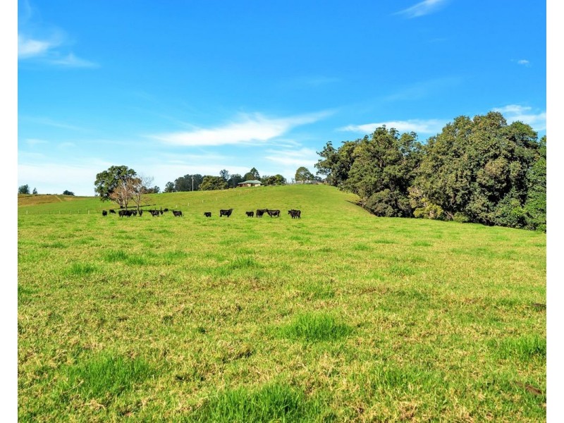 95 Wards Lane, Utungun NSW 2447