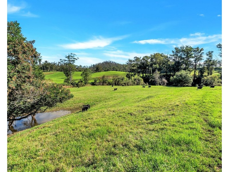 95 Wards Lane, Utungun NSW 2447
