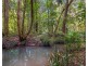 12 Pine Creek Close, Repton NSW 2454