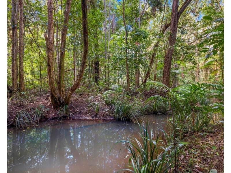 12 Pine Creek Close, Repton NSW 2454