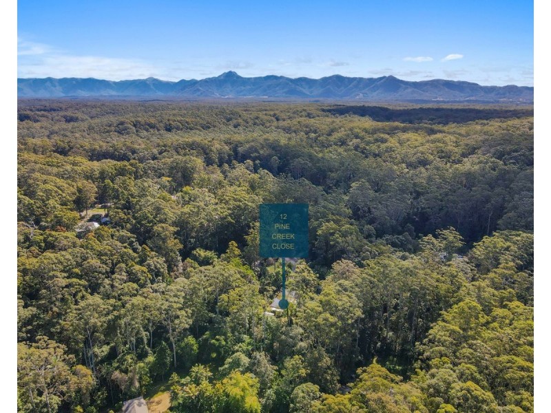 12 Pine Creek Close, Repton NSW 2454