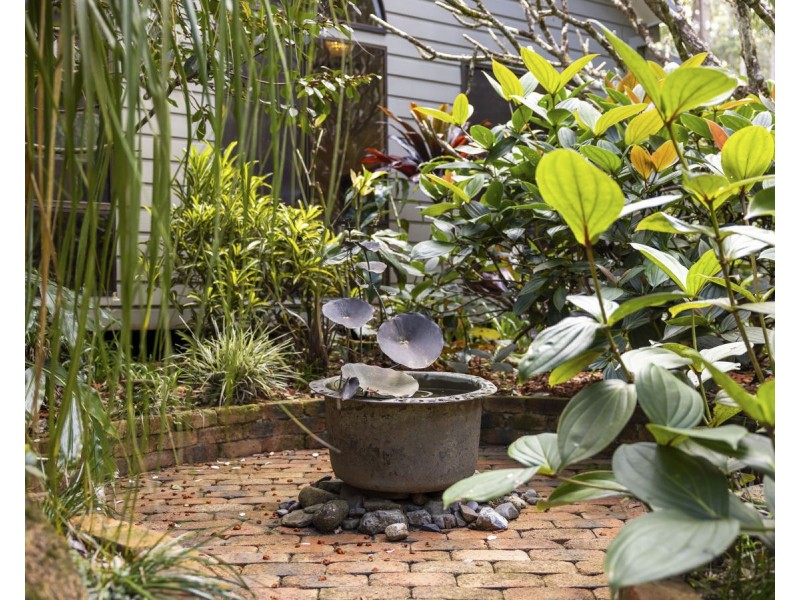 12 Pine Creek Close, Repton NSW 2454