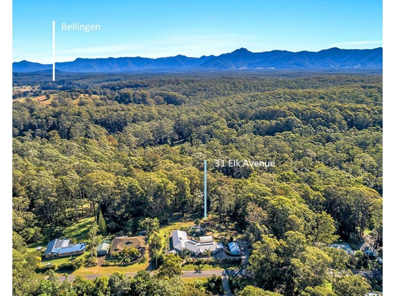 31 Elk Avenue, Repton NSW 2454