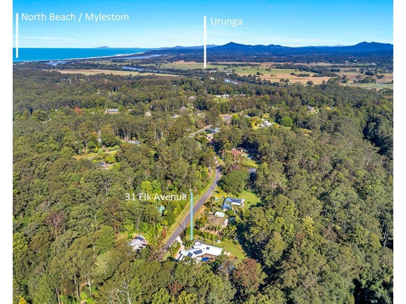 31 Elk Avenue, Repton NSW 2454