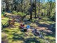 31 Elk Avenue, Repton NSW 2454