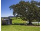 Lot 13, 380 Lower Buckrabendinni Road, Buckra Bendinni NSW 2449