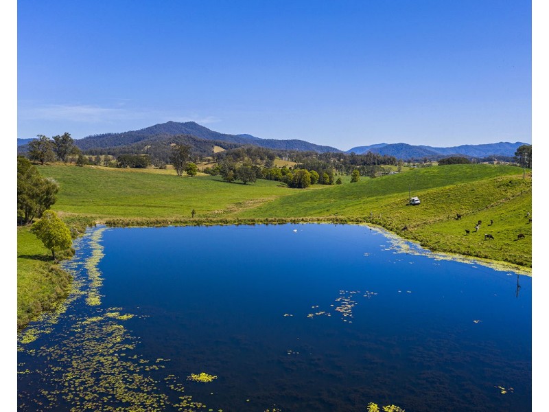 Lot 13, 380 Lower Buckrabendinni Road, Buckra Bendinni NSW 2449