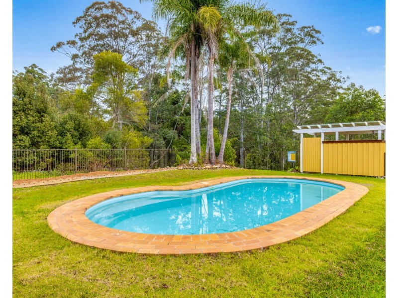 1385 Waterfall Way, Bellingen NSW 2454