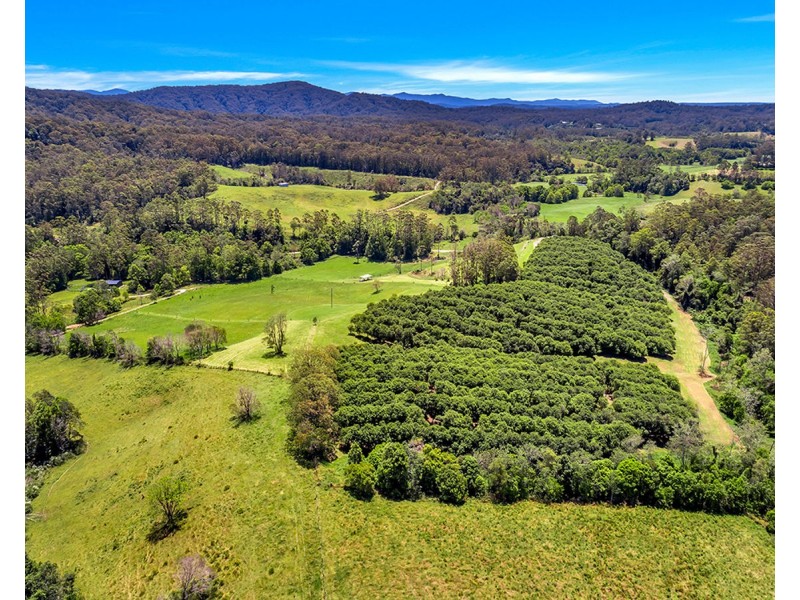 174 Mitchells Road, Valla NSW 2448