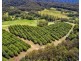 174 Mitchells Road, Valla NSW 2448