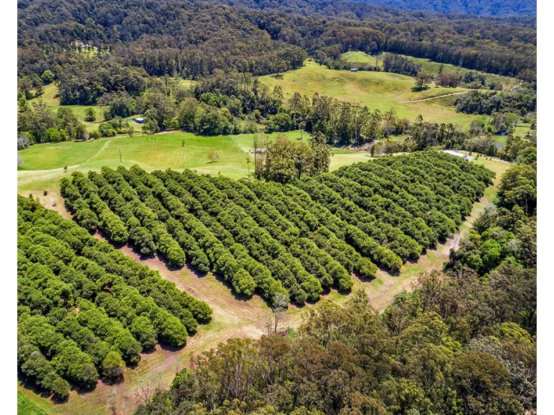 174 Mitchells Road, Valla NSW 2448