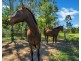 174 Mitchells Road, Valla NSW 2448