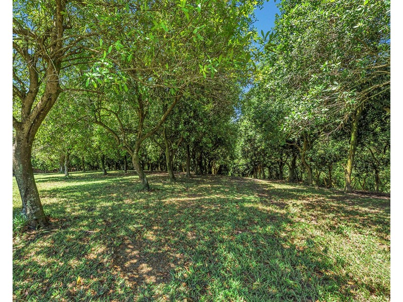 174 Mitchells Road, Valla NSW 2448