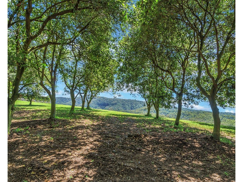 174 Mitchells Road, Valla NSW 2448