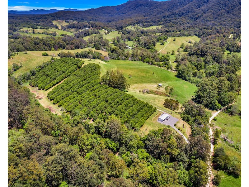 174 Mitchells Road, Valla NSW 2448