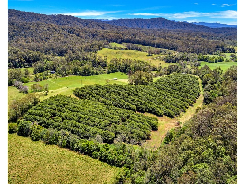 174 Mitchells Road, Valla NSW 2448