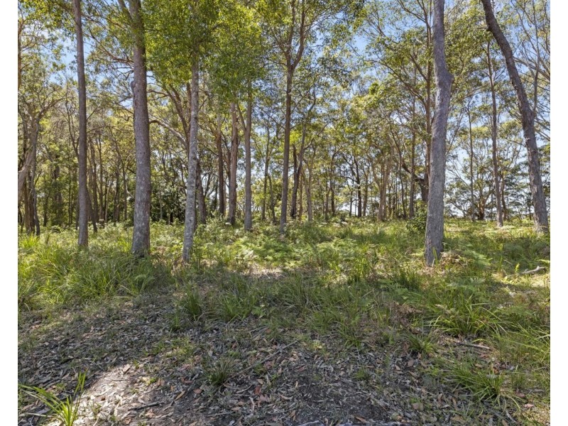 121 Pearl Circuit, Valla NSW 2448