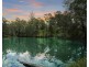 532 Bowraville Road, Brierfield NSW 2454