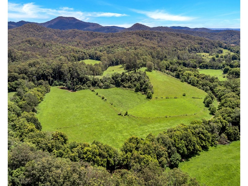 532 Bowraville Road, Brierfield NSW 2454