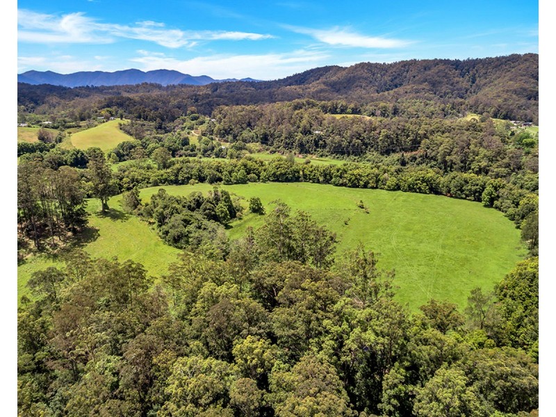 532 Bowraville Road, Brierfield NSW 2454