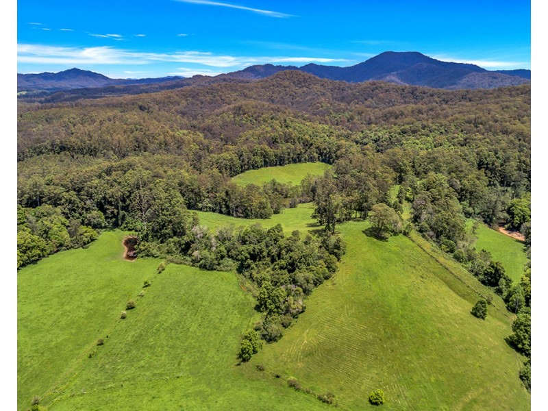 532 Bowraville Road, Brierfield NSW 2454