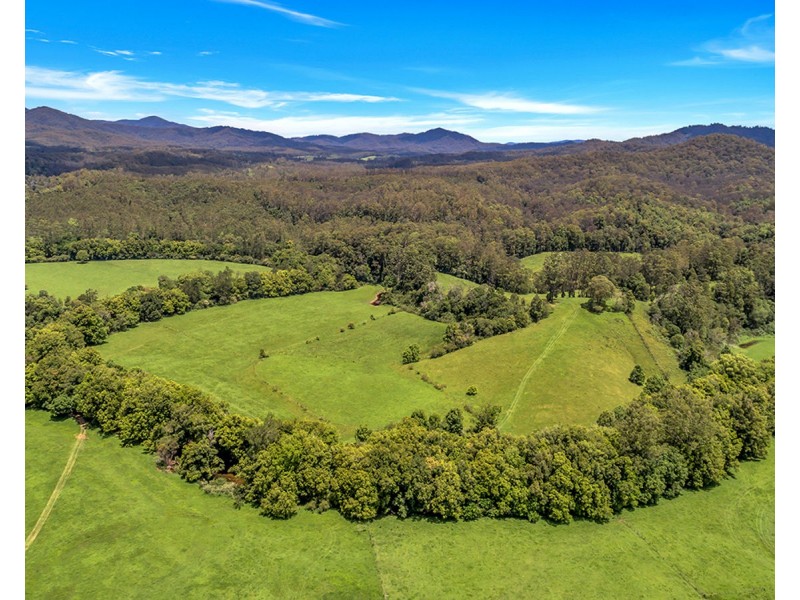 532 Bowraville Road, Brierfield NSW 2454