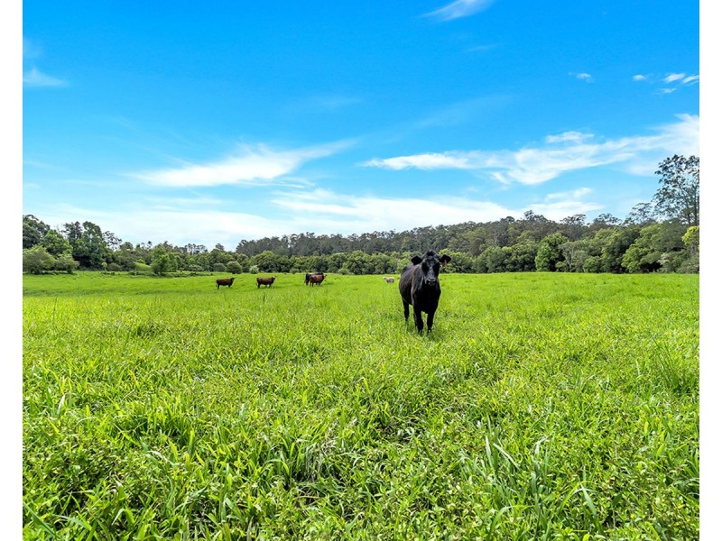 532 Bowraville Road, Brierfield NSW 2454