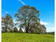 532 Bowraville Road, Brierfield NSW 2454