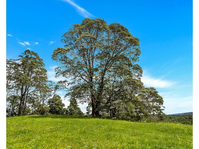 532 Bowraville Road, Brierfield NSW 2454