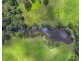532 Bowraville Road, Brierfield NSW 2454