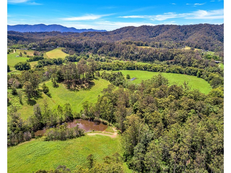 532 Bowraville Road, Brierfield NSW 2454