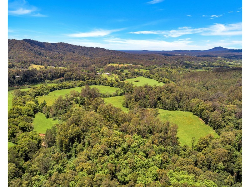 532 Bowraville Road, Brierfield NSW 2454