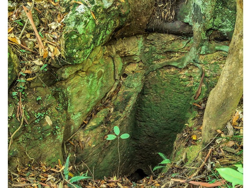 148 Tewinga Lane, Tewinga NSW 2449