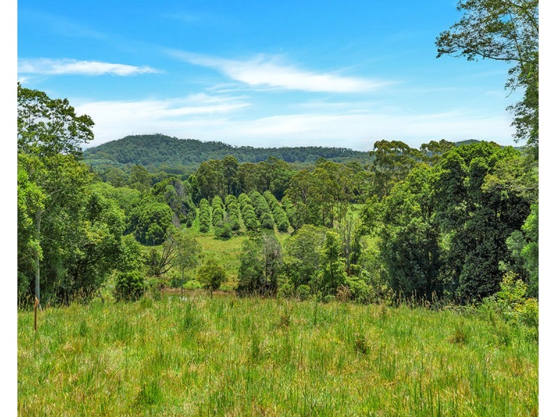 148 Tewinga Lane, Tewinga NSW 2449