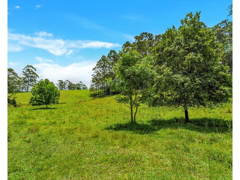 148 Tewinga Lane, Tewinga NSW 2449