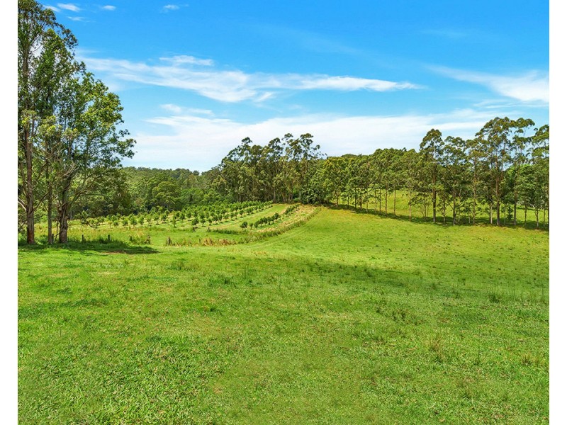 148 Tewinga Lane, Tewinga NSW 2449