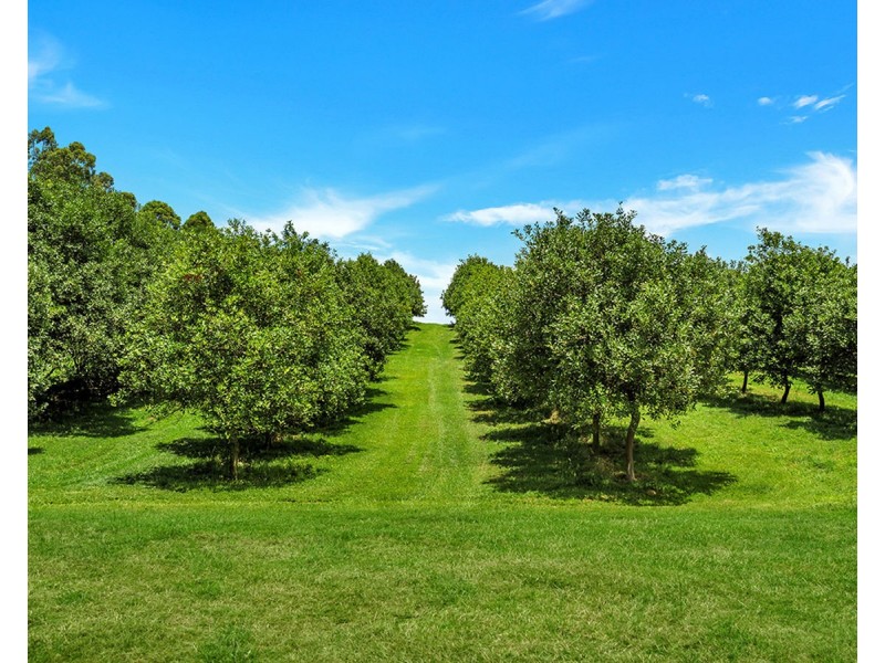 148 Tewinga Lane, Tewinga NSW 2449