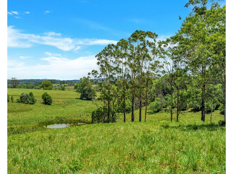 148 Tewinga Lane, Tewinga NSW 2449