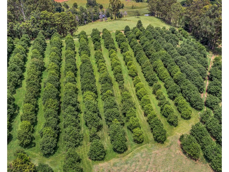 148 Tewinga Lane, Tewinga NSW 2449