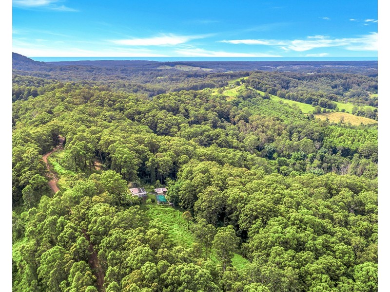 163 Richards Road, Newee Creek NSW 2447