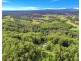 163 Richards Road, Newee Creek NSW 2447