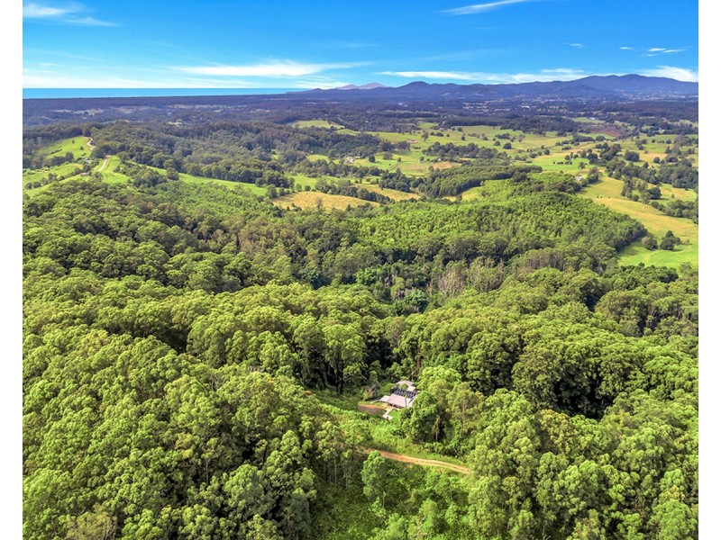 163 Richards Road, Newee Creek NSW 2447