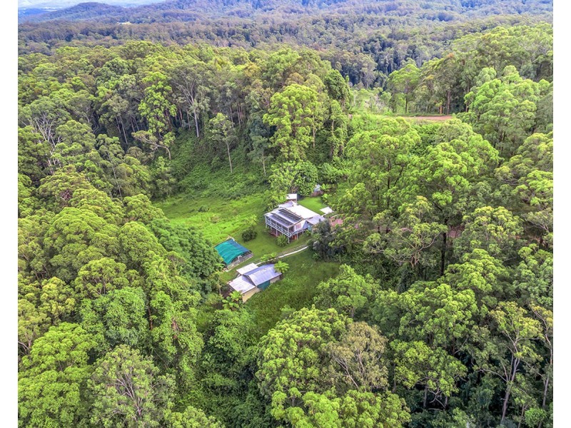 163 Richards Road, Newee Creek NSW 2447