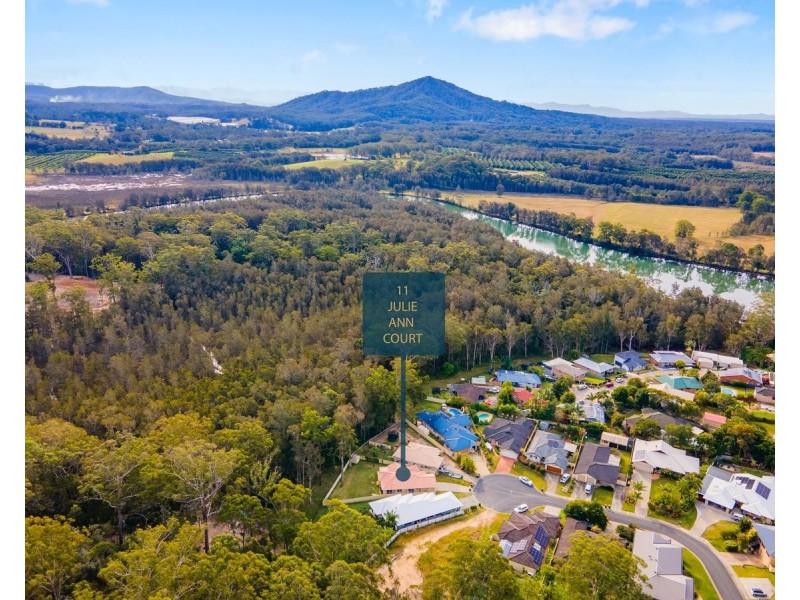 11 Julie Ann Court, Hyland Park NSW 2448